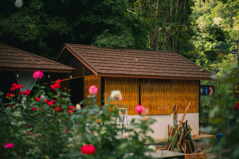 The Forest Camp เขาใหญ่, Pak Chong