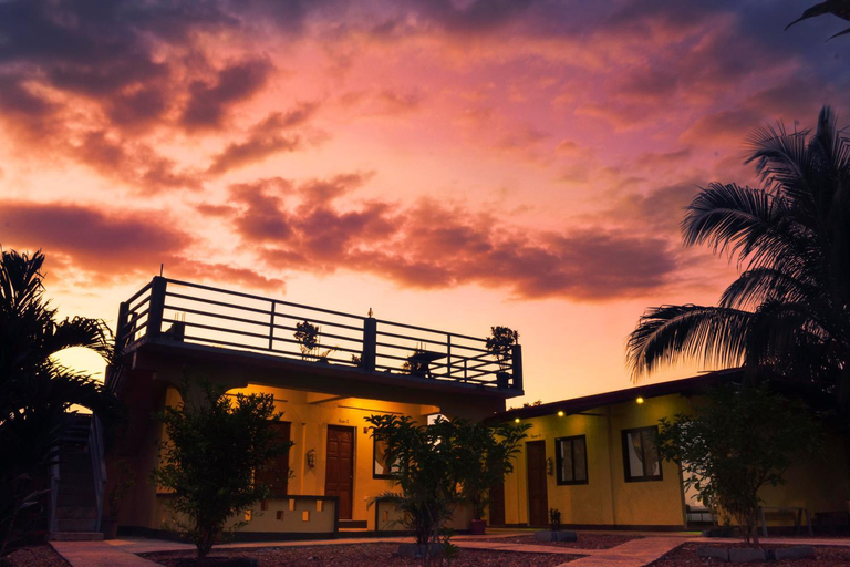 Exterior 1