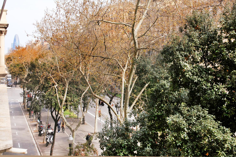 Others 4, Casa Valeta, Barcelona