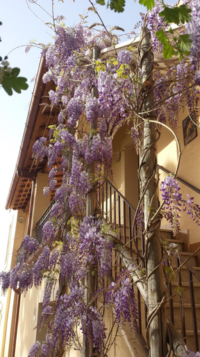 Agriturismo Casal Taccone, Viterbo