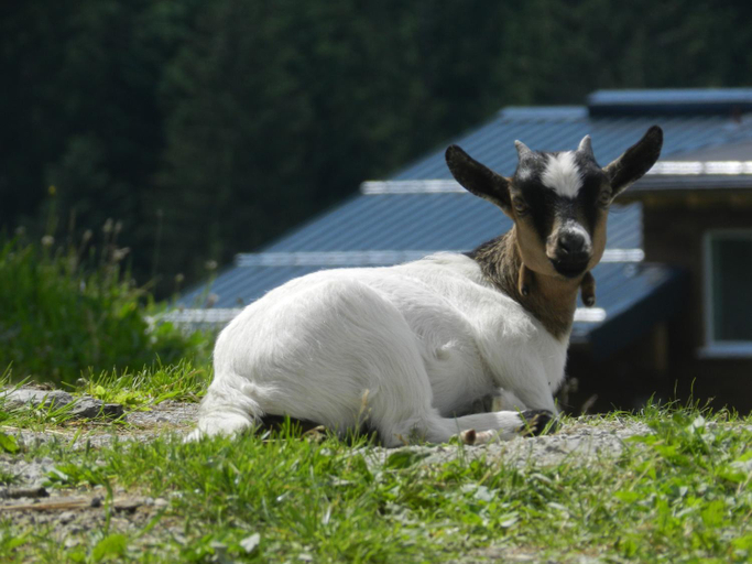 Others 2, Blasbichlerhof, Liezen