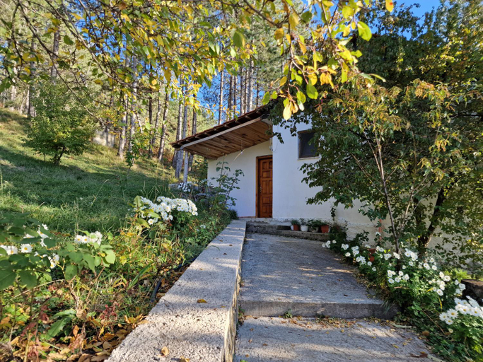 Exterior 11