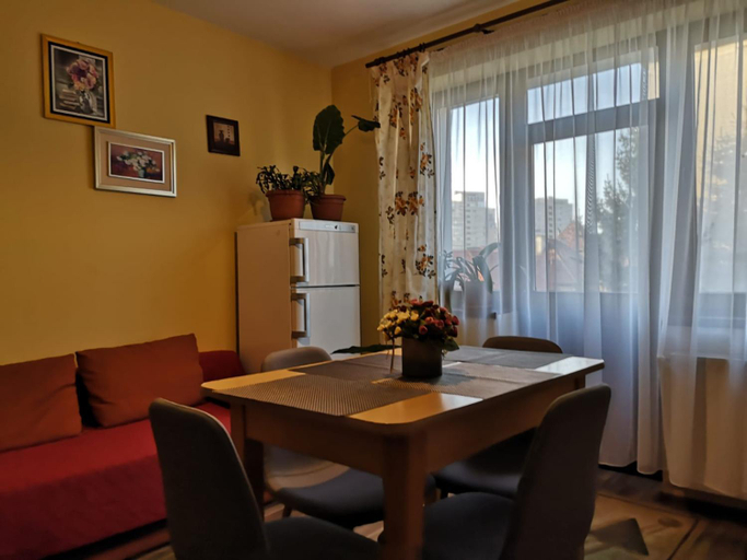Others 4, Villa Casa Ioana, Brasov