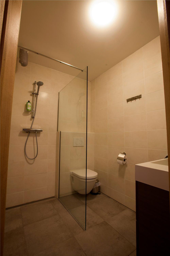 Bathroom 4, B&B D'Hollehoeve, Antwerpen