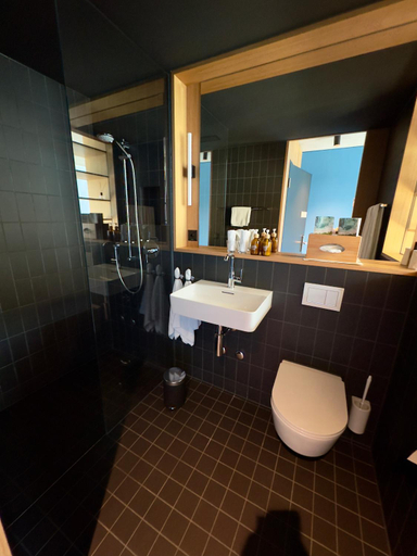 Bathroom 2, 54 Hochgenuss, Uri