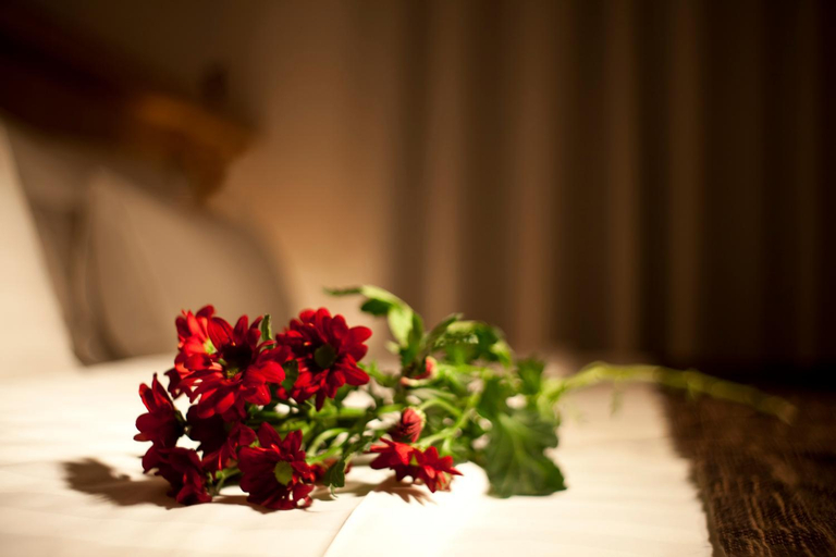 Others 3, Dahlia Inn, Praha 1