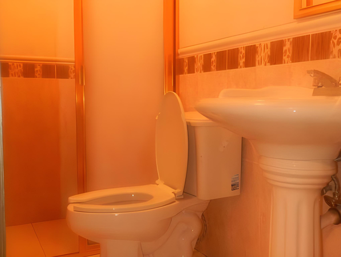 Bathroom 4, Hotel Posada Ruisenor, San Juan de los Lagos