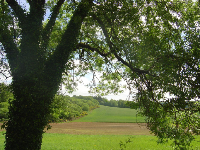 Others 5, Le Puy Robin, Creuse