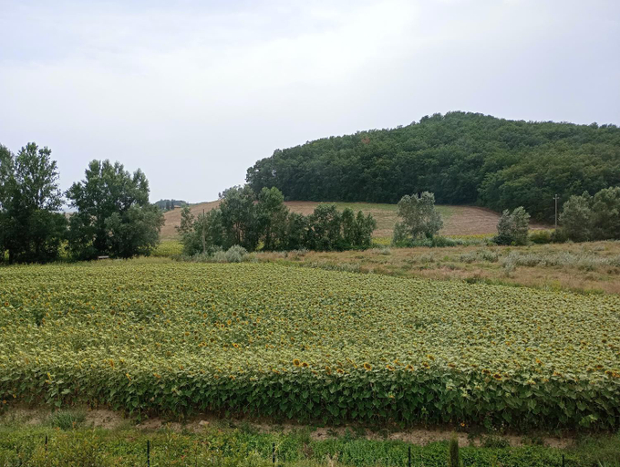 Scenery