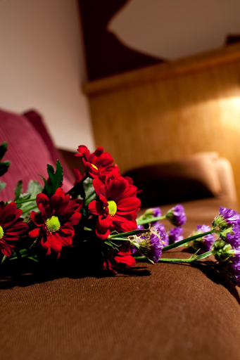 Others 4, Dahlia Inn, Praha 1