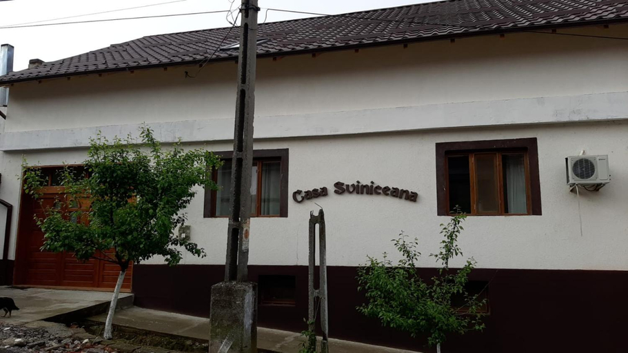 Others 5, Casa Sviniceana, Svinita