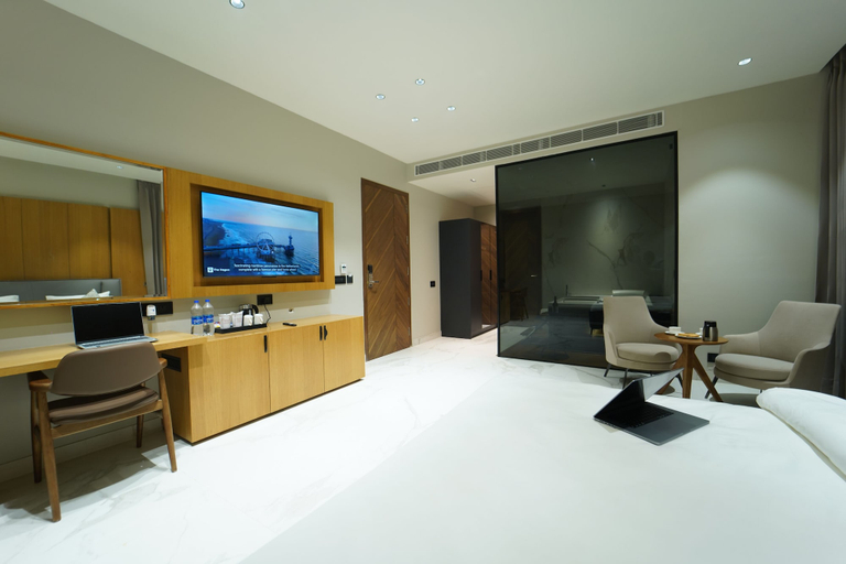 Others 5, Hotel Millennium, Hisar