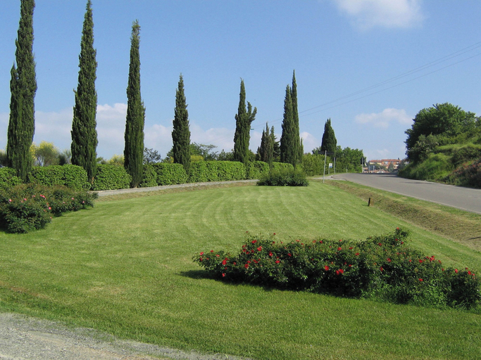 Others 4, Comiti Farmhouse - David Apartment, Florence