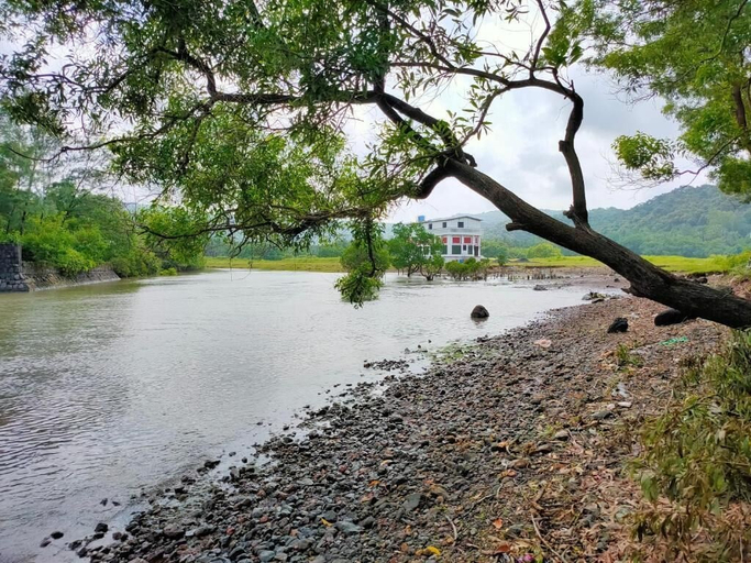 Others 5, Shobha Farmhouse, Raigarh