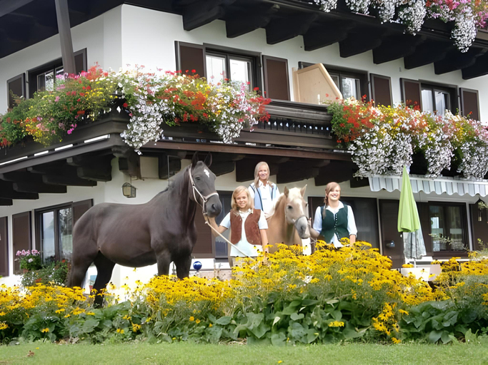 Others 4, Oberstockinghof, Zell am See