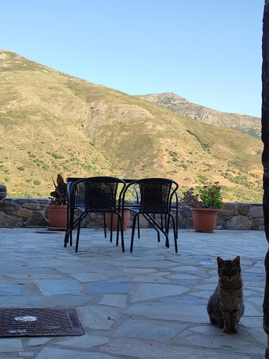 Balcony/terrace 5, Grandma Agatha & Virginia's stonehouse, Crete