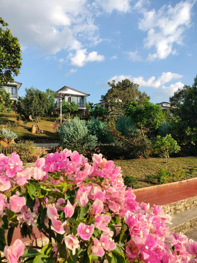 Others 3, Homestay hichi, Bảo Lộc