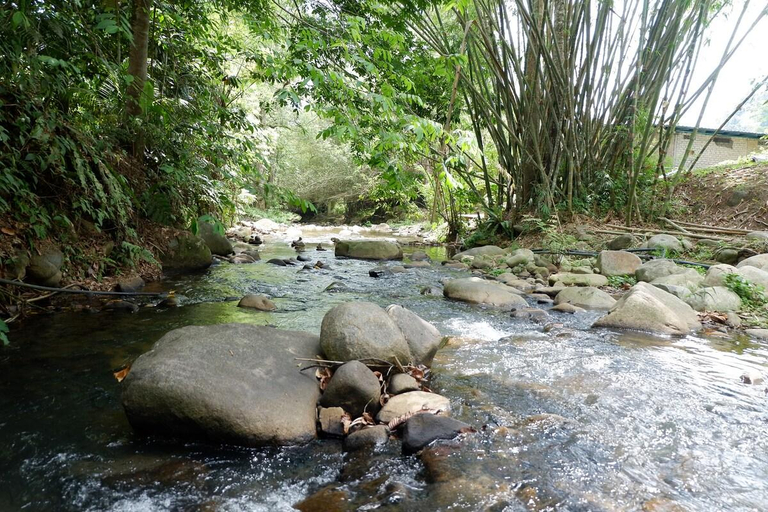 ROOM 4 @ Jungle Zen Camping Site, Bentong