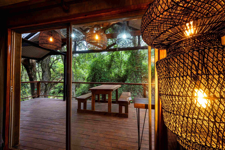Others 3, Matumi Trail Forest Lodge, Mopani