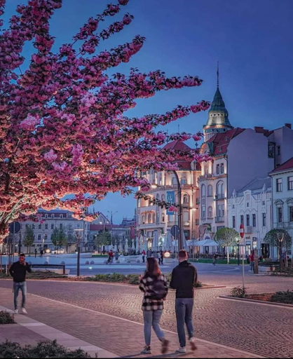 Others 5, Villa DeaDorata, Oradea