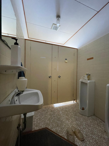 Bathroom 3, Alpha Lodge Madarao, Myōkō