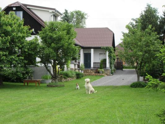 Others 3, Moongarden apartment, Szécsény