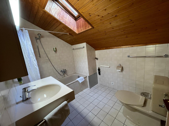 Bathroom 3, Interlaken apartment 27, Interlaken