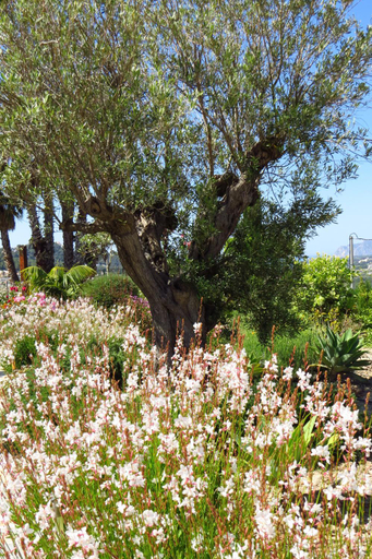 Others 5, Finca Klara, Boutiquehotel - Apartment -Javea-Moraira-, Alicante