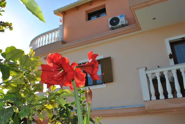2, Amaryllis House, Epirus