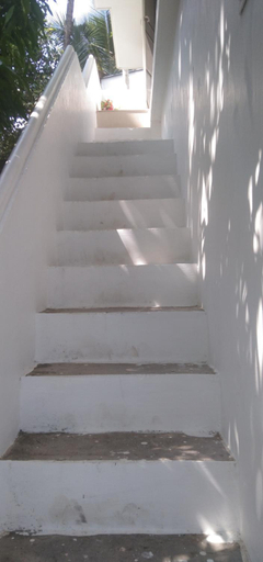 Others 3, Jestine Homestay, Ernakulam