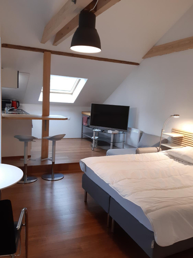Others 5, loft studio avec charme et authenticite, Haut-Rhin