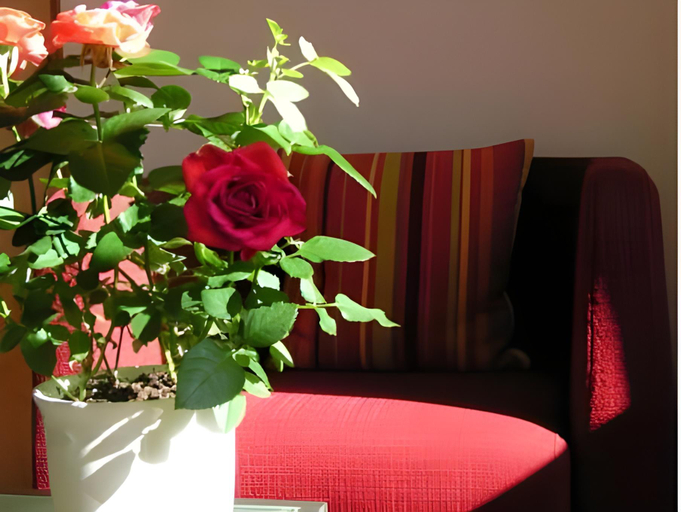 Others 2, Valbella Bed & Breakfast, Bludenz