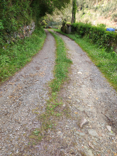 3, Villa Alejandra, Asturias
