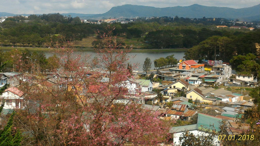 Scenery