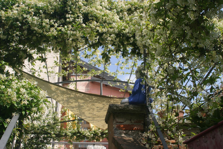 Others 4, Lori's Inn, Cuneo