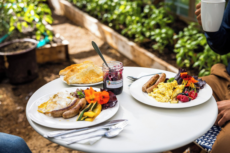 Food & Drinks 3, Upper Humber Settlement A FarmStay BNB, Division No. 5