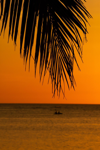 Scenery 14