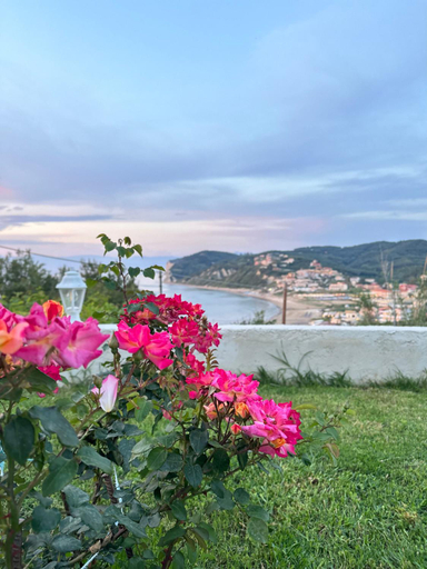 Others 3, Gikas Apartments, Ionian Islands