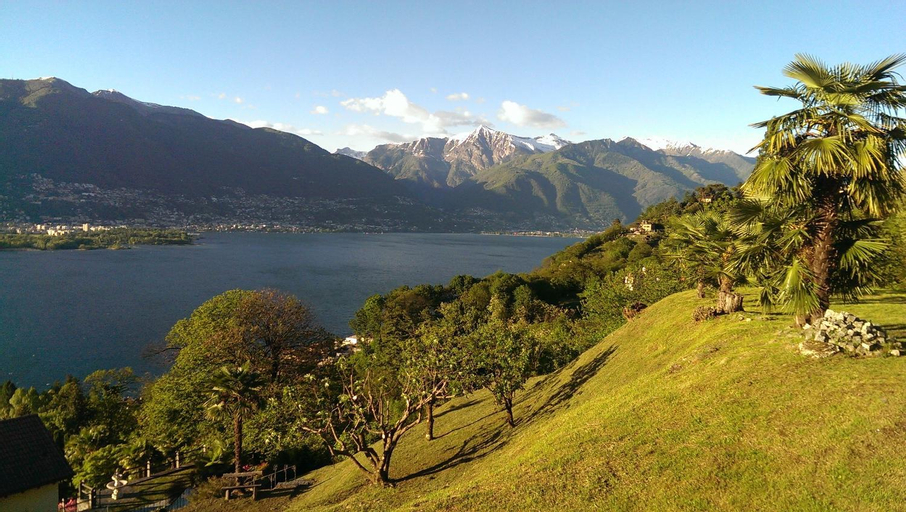 Corte delle Camelie, Locarno