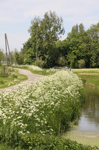 Others 5, Countryside Eco Natuurhuisjes, Dongeradeel