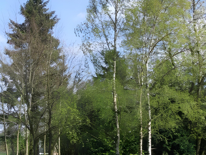 Others 3, B&B La Place Verte, Namur