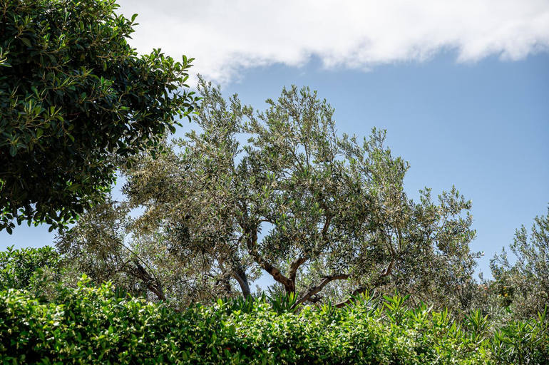 Others 5, Costa Bianca Villas, Peloponnese