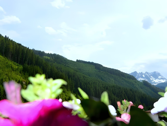 Others 3, Pension Zillertal, Schwaz