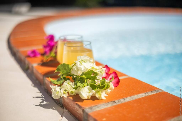 Food & Drinks, Villa Tropical Dream - Diamant, Le Diamant