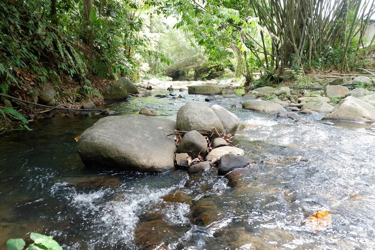Exterior & Views 5, ROOM 1 @Jungle Zen Camping site, Bentong