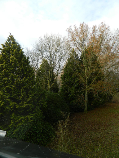 Others 3, B&B Les Tcheous, Liège