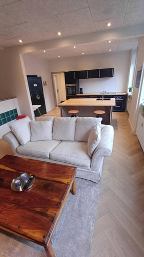 Others 5, Unique and luxurious apartment in Aalborg City, Aalborg