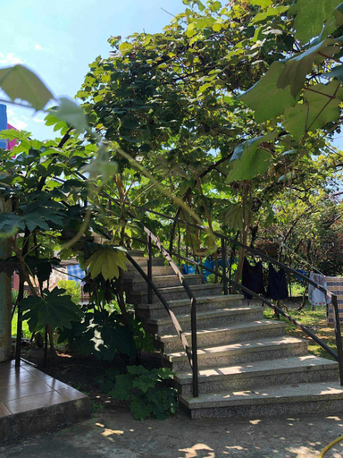 Others 5, Отел Нана, Kobuleti