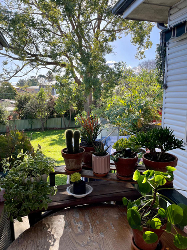 Exterior & Views 5, COMFORT QUEEN GARDEN VIEW ROOM MACQUARIE PARK RYDE, Sydney