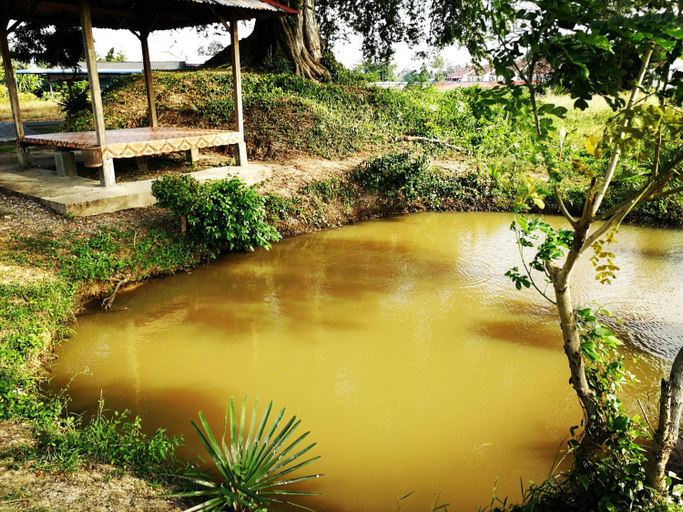 Scenery 1